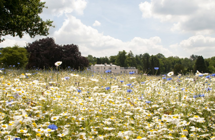 Coworth Park